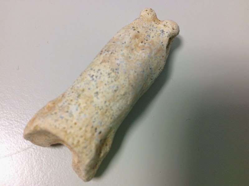 Una falange de dents de sable.