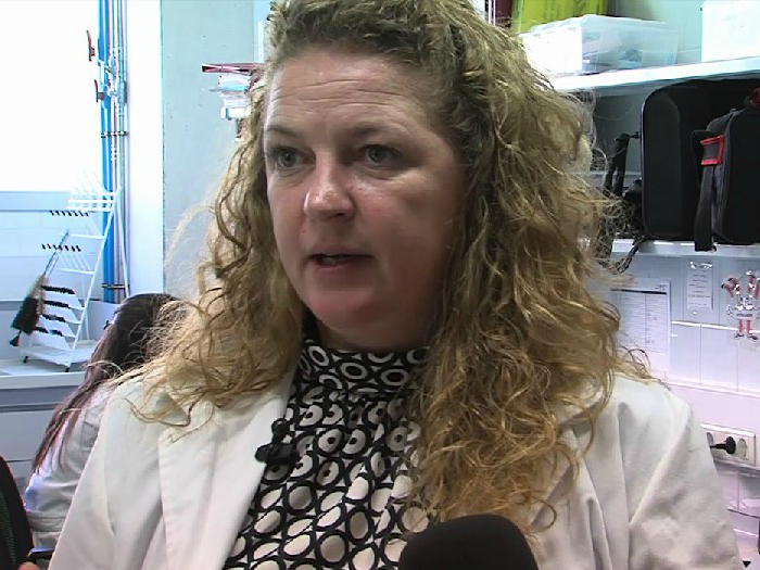 La doctora Ciara O'Sullivan, investigadora de la URV.