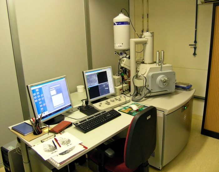 Imatge del Microscopi Electrònic de Rastreig de pressió variable, aparell del Servei de Microscòpia de la URV que l’IPHES utilitza normalment per a estudis de traceologia, i en comparteix amb el personal investigador de París. Andreu Ollé/IPHES.