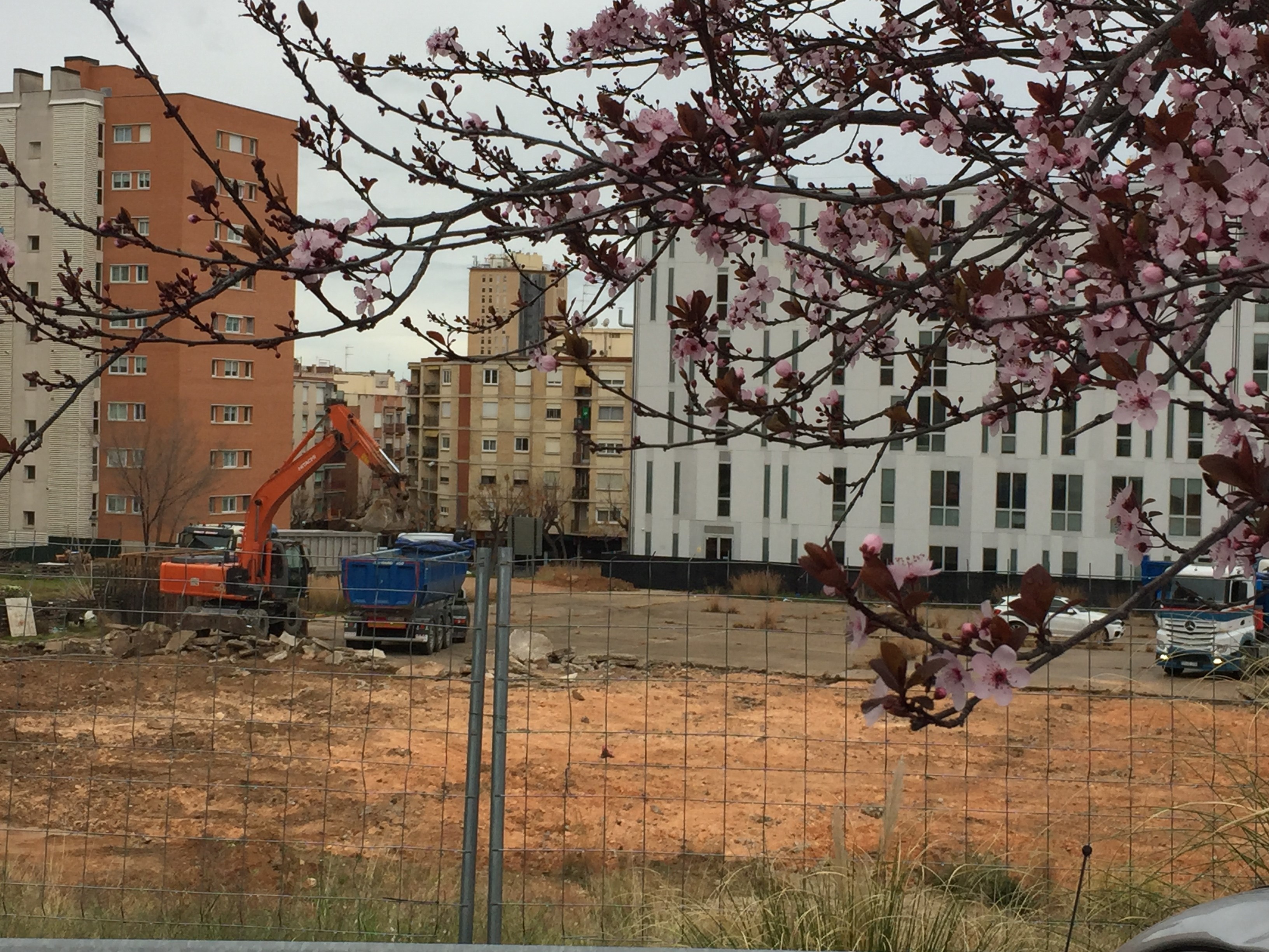 Comienzan las obras de la nueva Facultad de Ciencias de la Educación y Comienzan las obras de la nueva Facultad de Ciencias de la Educación y