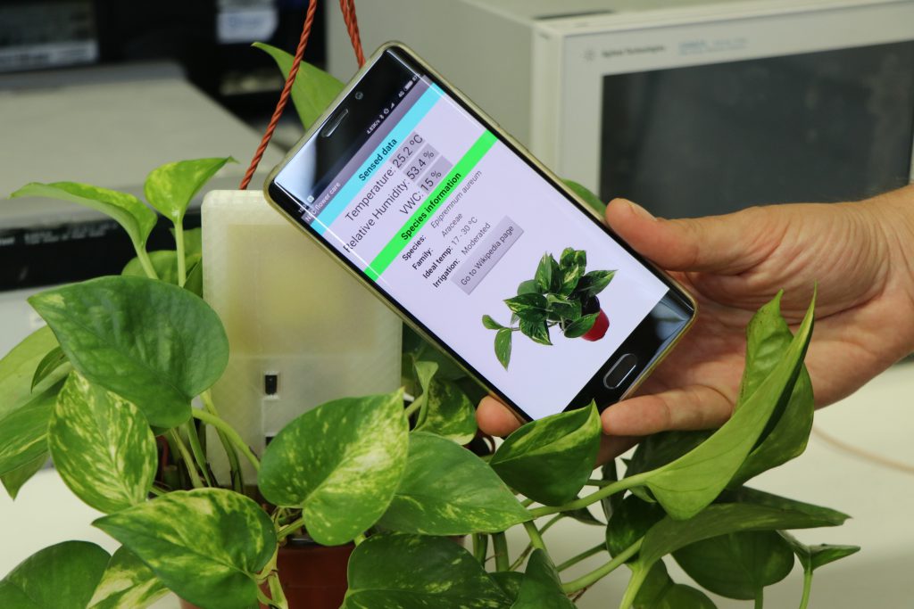 El sensor es clava al terra de la planta o cultiu i envia les dades al telèfon mòbil.