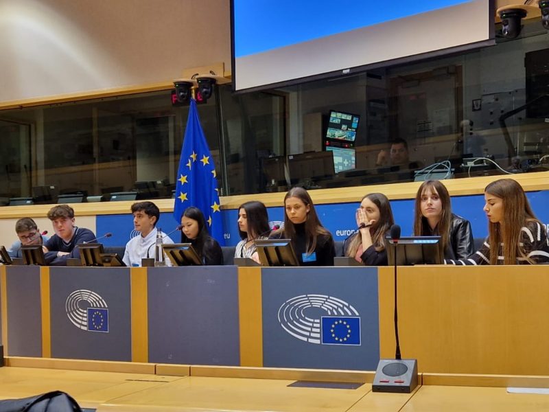 Alumnes de l'Institut Fonts del Glorieta d'Alcover que han participat al projecte Rotspanier presenten la seva cerca i conclusions al Parlament Europeu.