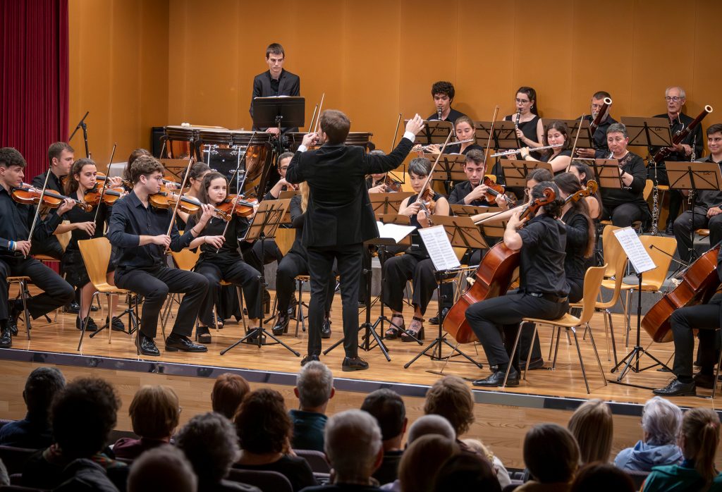 Un moment del concert "Nacionalisme Musicals", de l'Orquestra de la URV.