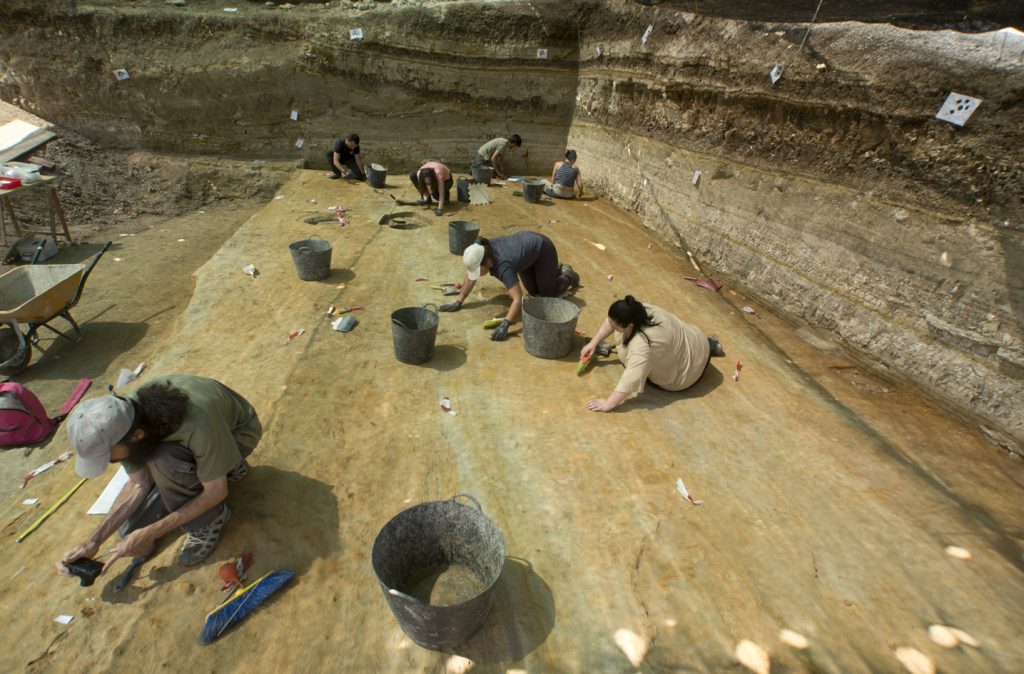 Treballs d’excavació en el nivell 10 del sector de Ca n’Argilera on han aparegut les restes esquelètiques de l’au. Foto: Gerard Campeny / IPHES