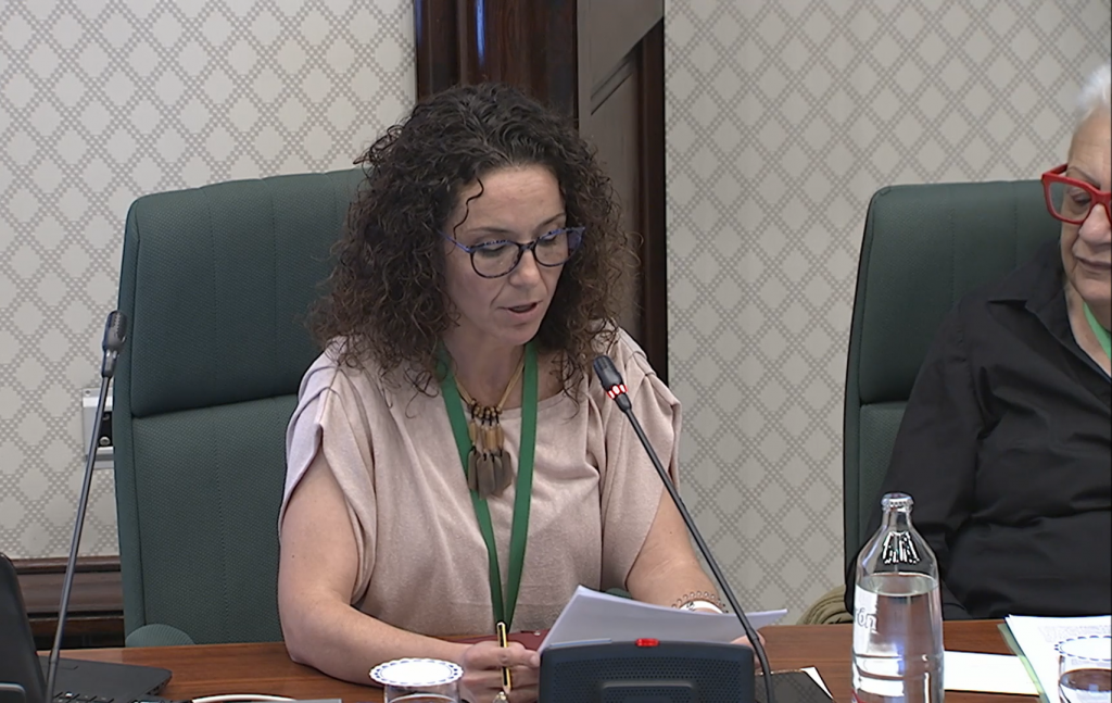 La professora Eva Zafra va comparèixer al Parlament el 15 de maig.