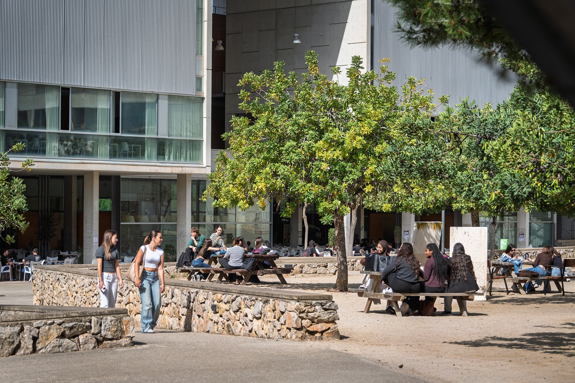 Campus Sescelades, Tarragona