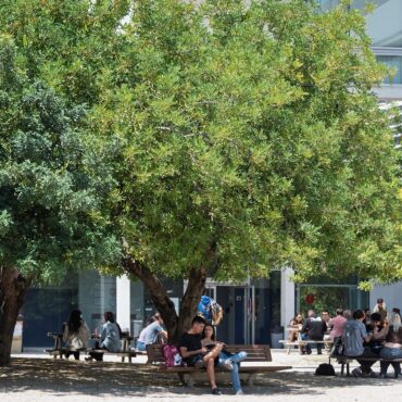 Espai del campus Sescelades