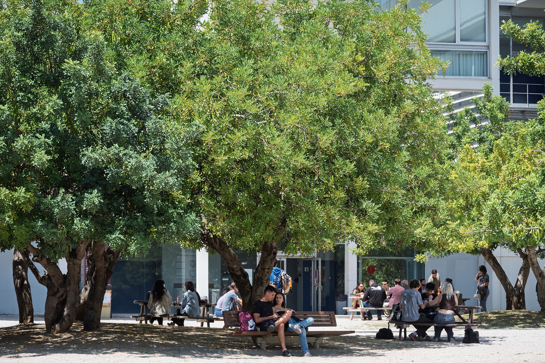 Campus Sescelades, Tarragona