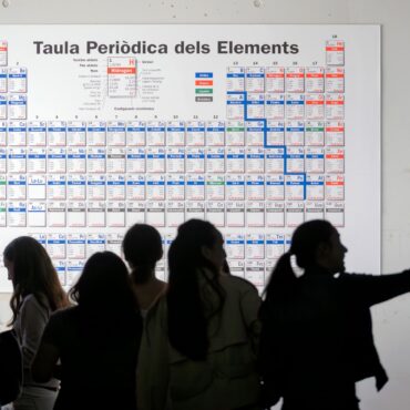 Passadís del campus Sescelades