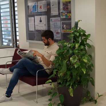 Seu del Baix Penedès