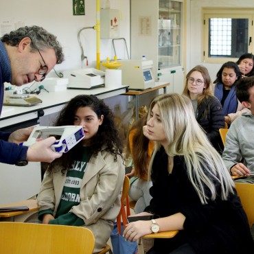 Celler de Mas dels Frares