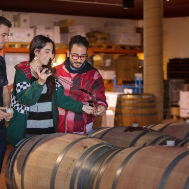 Celler de Mas dels Frares