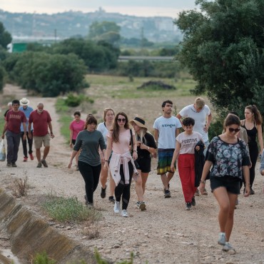 Celler de Mas dels Frares