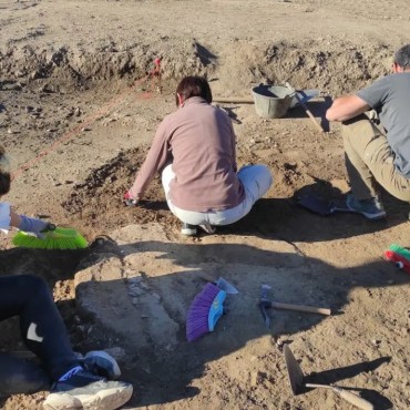 Treballs al Parc i Paisatge Arqueològic de la Ciutat Romana de Clunia.
