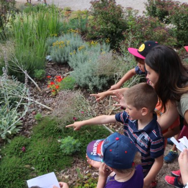 Fira de Ciències per a escoles al Jardí de les Papallones