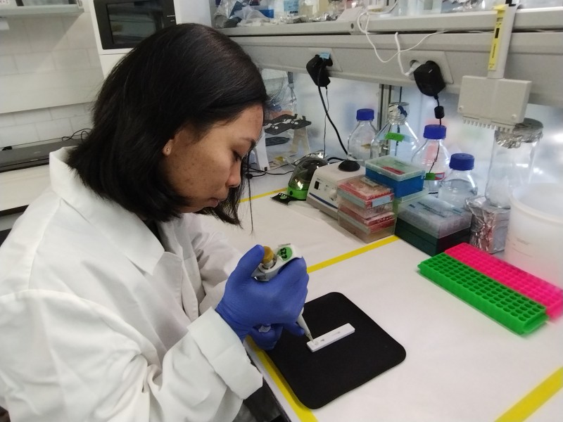 La investigadora Christine Justo con la prueba diagnóstica desarrollada por el grupo de investigación Interfibio de la URV.