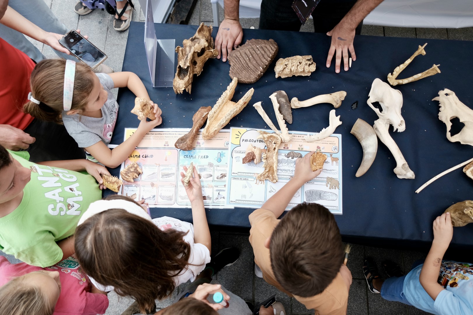 73721606-E38C-42A6-A080-0B533126E5EC-27725-00000A1A46D17743 (Grande)