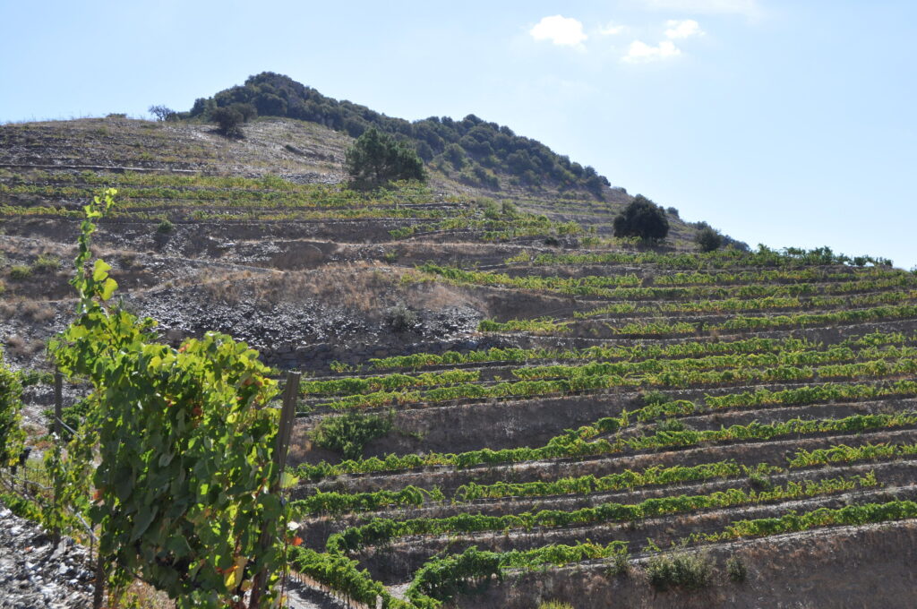 Costers del Priorat