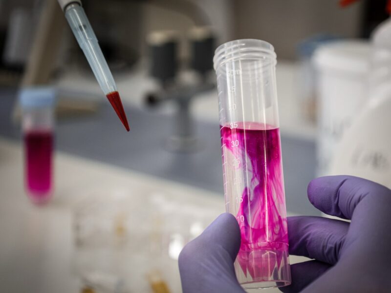 Imatge guanyadora en la modalitat #general de l’edició 2025, a càrrec de Ruth Prats Nadal.