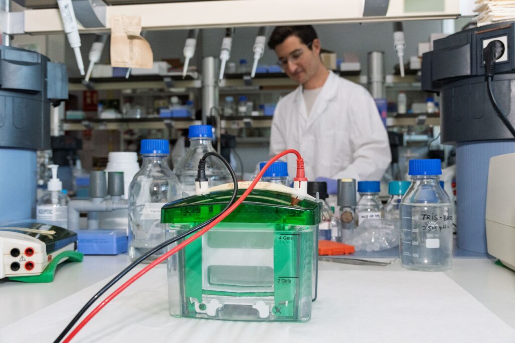 IngrediZymes Functional Solutions, l’spin-off de la URV