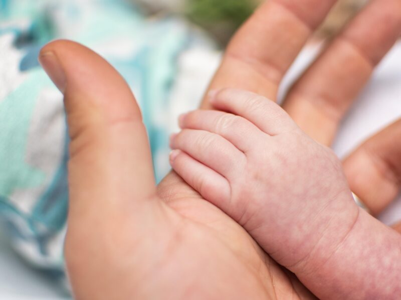 Foto Ernest_Roy (Pixabay).