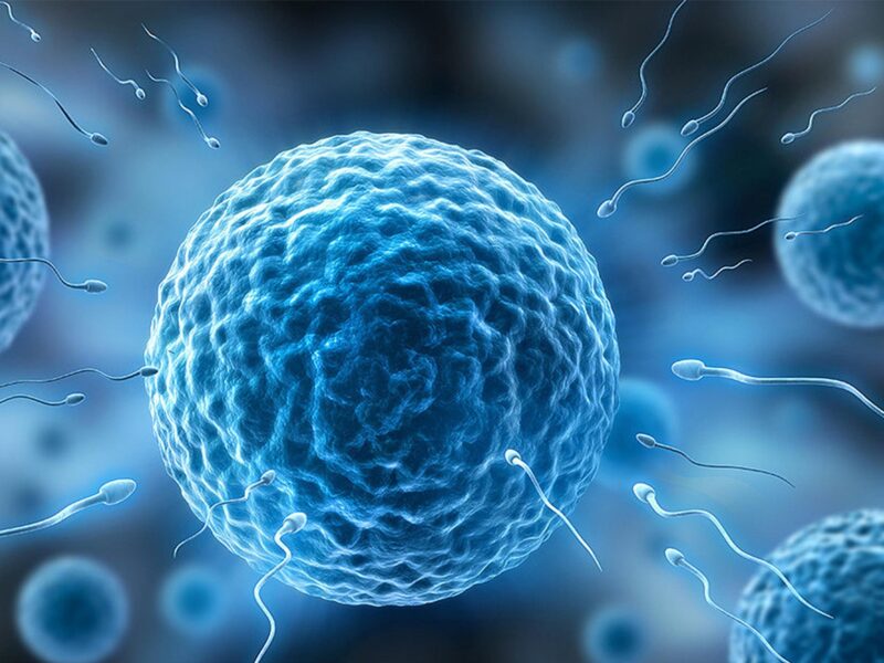 Foto: we-o_rd35nwksz4joqva0u (Pixabay).