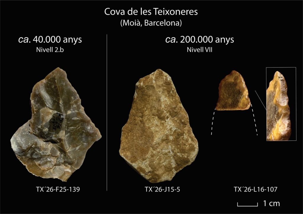 Selecció de puntes de llança recuperades durant la campanya d’excavació al jaciment de la Cova de les Teixoneres. D’esquerra a dreta: una punta de sílex de fa 40.000 anys, una punta lítica de fa 200.000 anys i una punta elaborada sobre os llarg, també de fa 200.000 anys. 