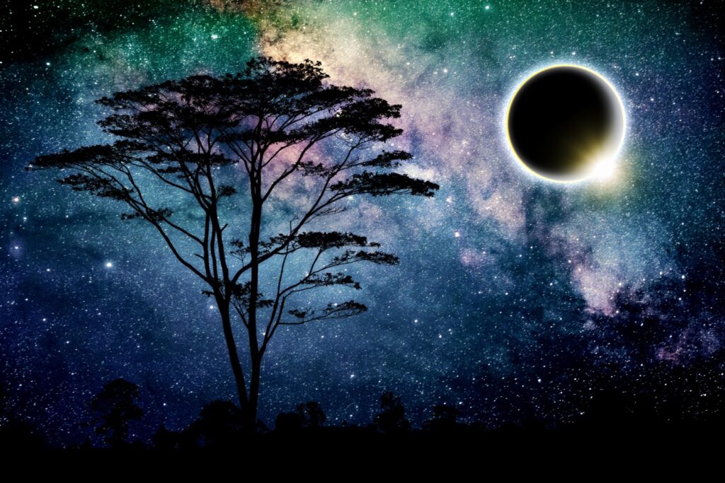 Foto: Peter Schmidt (Pixabay).