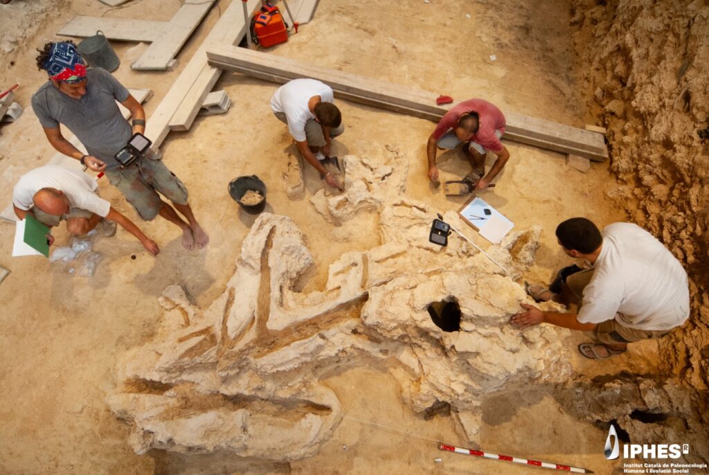 Treball de dibuix i registre durant l'excavació de l'objecte de fusta a l'Abric Romaní. Autoria: Gerard Campeny / IPHES-CERCA